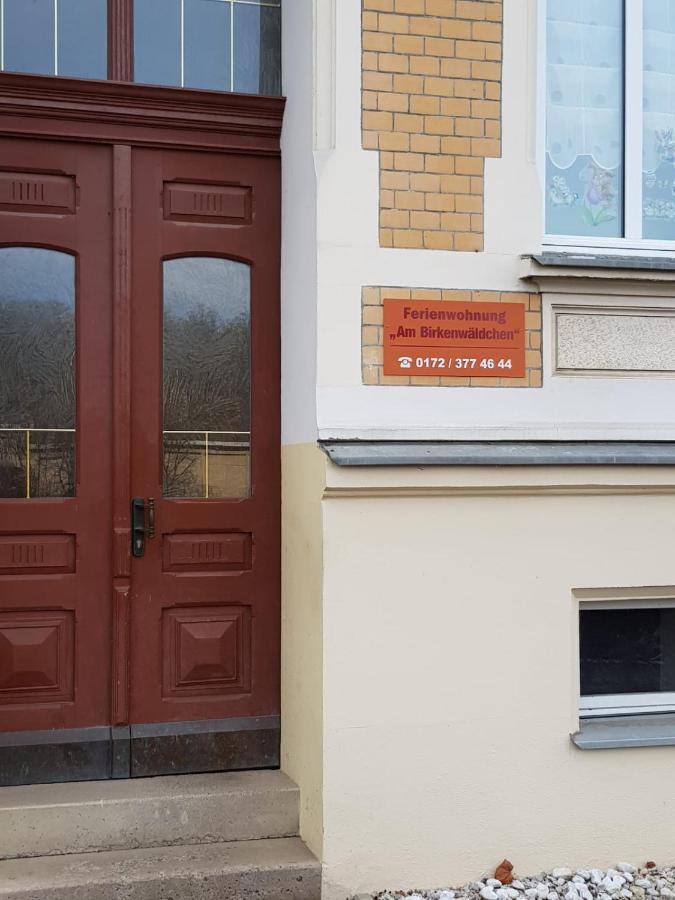 Ferienwohnung Am Birkenwaeldchen 플라우엔 외부 사진